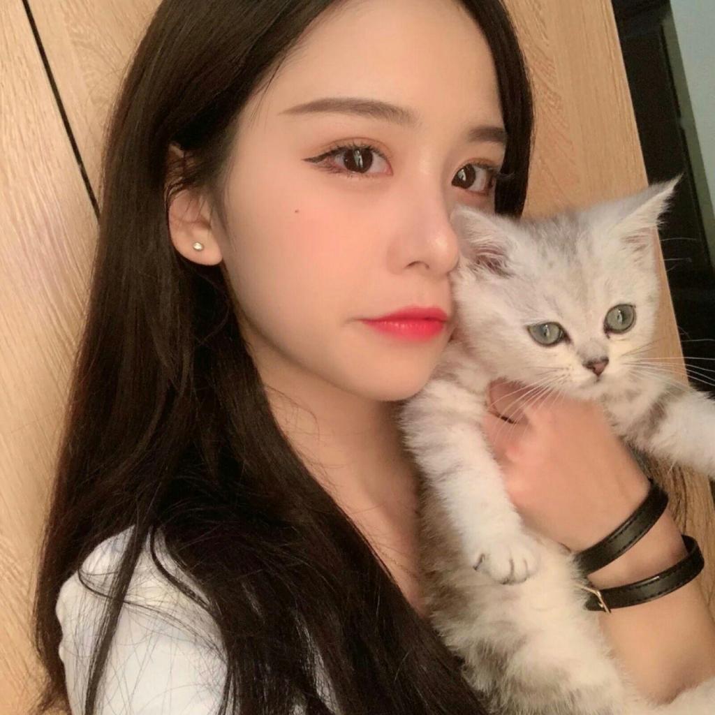 澳门银银河官方网welcome下载手机版