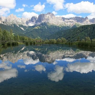 乐鱼app官方下载