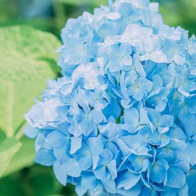 金沙集团9500官网下载手机版