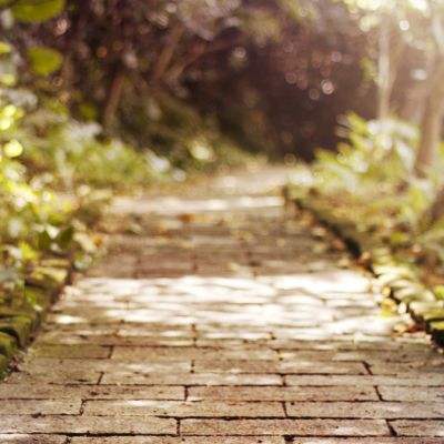 炸金花单机游戏